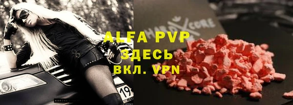 гашик Осташков
