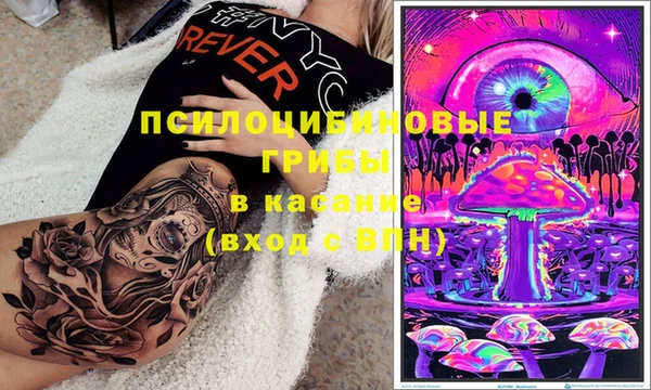 гашик Осташков
