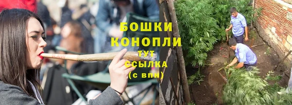 гашик Осташков