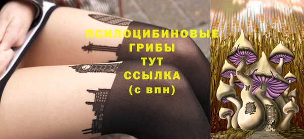 прущие грибы Няндома