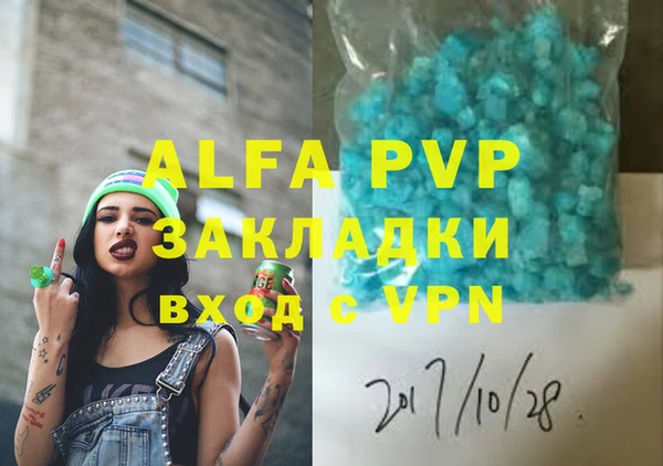 гашик Осташков