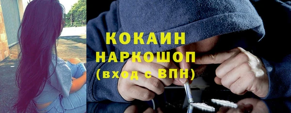 гашик Осташков