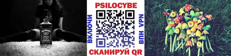 маркетплейс Telegram  Бодайбо  Псилоцибиновые грибы Cubensis 